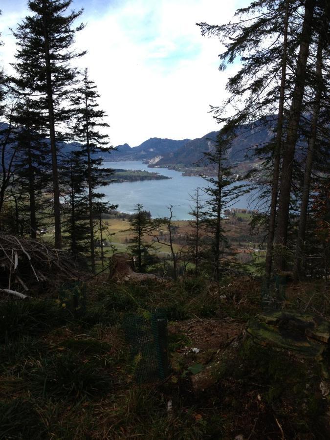 Panorama Appartement Strobl Dış mekan fotoğraf